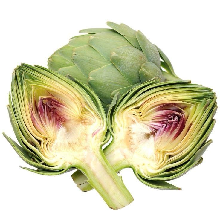 Artichoke