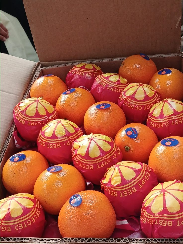 Valencia Orange from Egypt—Export Season has started