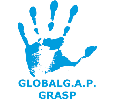 Certificate logo