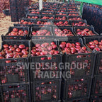Onions