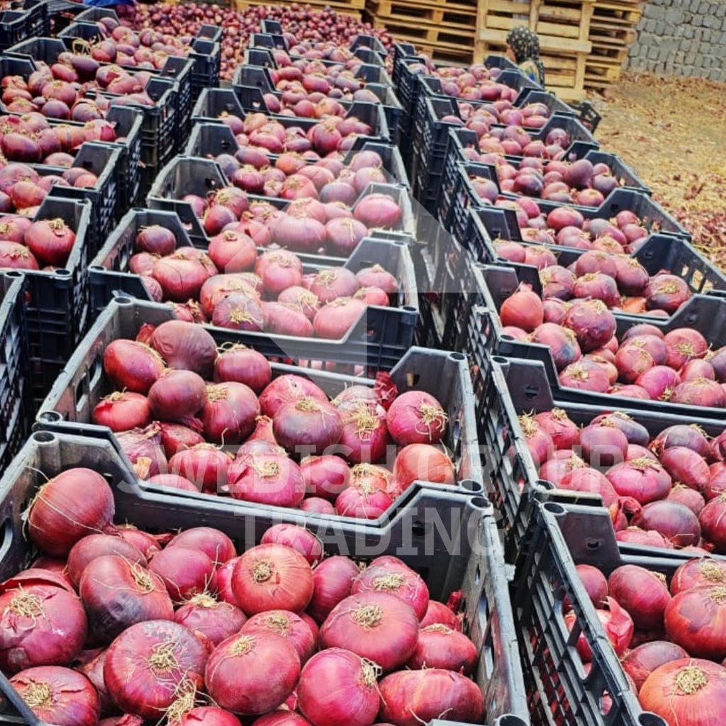 Onions