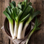 Spring Onion