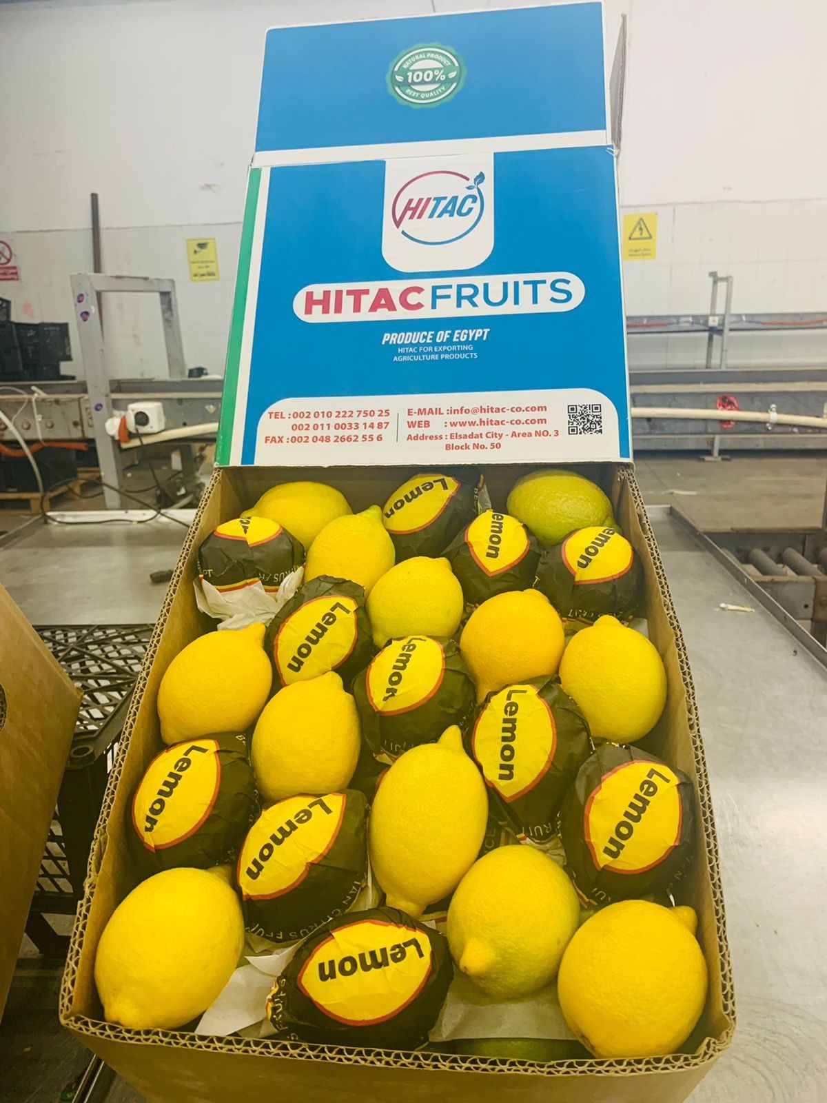 Egyptian Lemon Season Begins with Peak Color and Quality