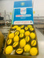Egyptian Lemon Season Begins with Peak Color and Quality