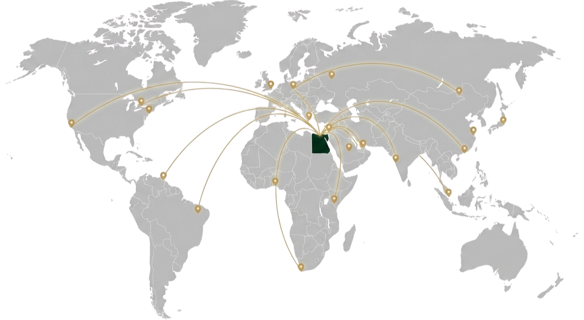 World Map