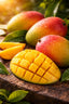 Mango